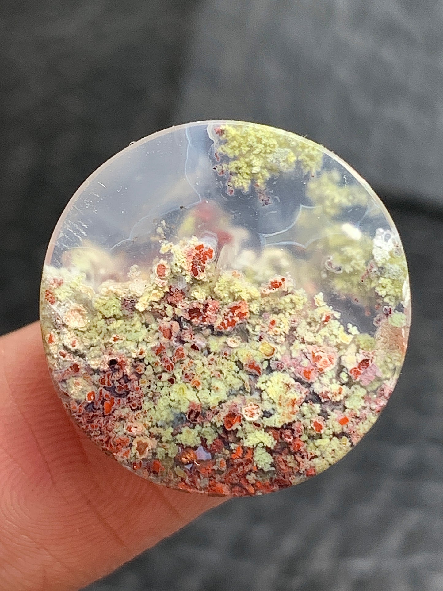 Scenic Moss Agate Round Cabochon 19x19x4.5mm