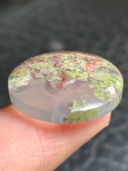 Scenic Moss Agate Round Cabochon 19x19x4.5mm