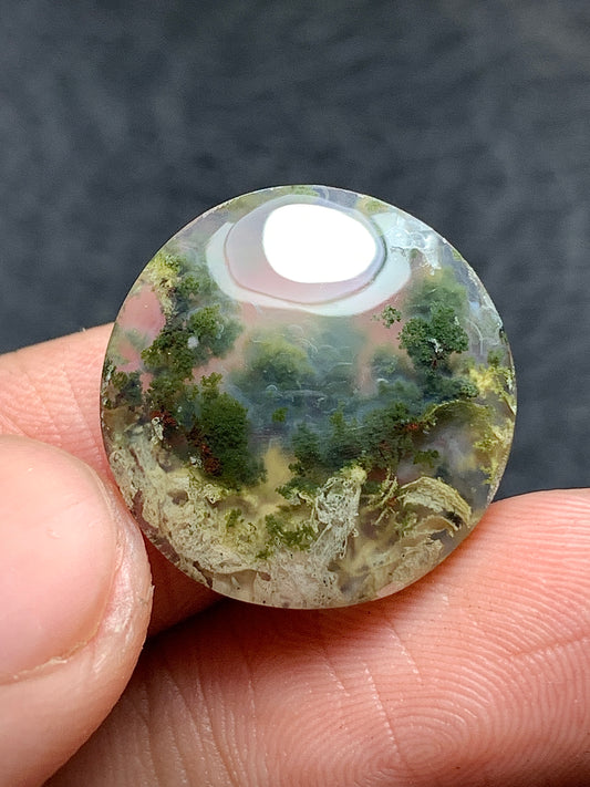 Scenic Moss Agate Round Cabochon 19x19x5mm