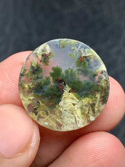 Scenic Moss Agate Round Cabochon 19x19x5mm