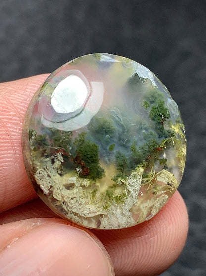 Scenic Moss Agate Round Cabochon 19x19x5mm