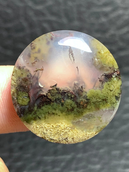 Scenic Moss Agate Round Cabochon 23.8x23.8x6.5mm