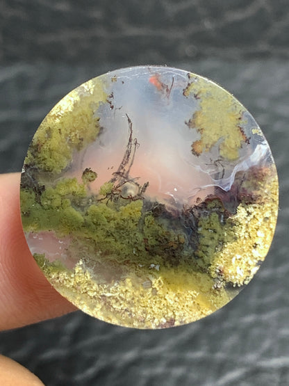 Scenic Moss Agate Round Cabochon 23.8x23.8x6.5mm