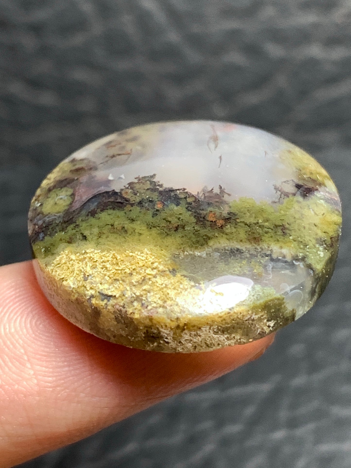 Scenic Moss Agate Round Cabochon 23.8x23.8x6.5mm