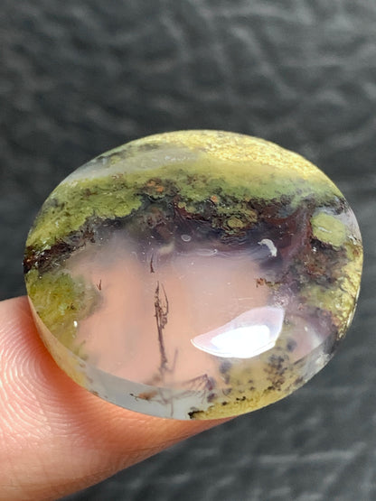 Scenic Moss Agate Round Cabochon 23.8x23.8x6.5mm