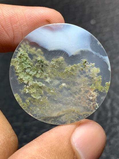 Scenic Moss Agate Round Cabochon 28.7x28.7x4.5mm