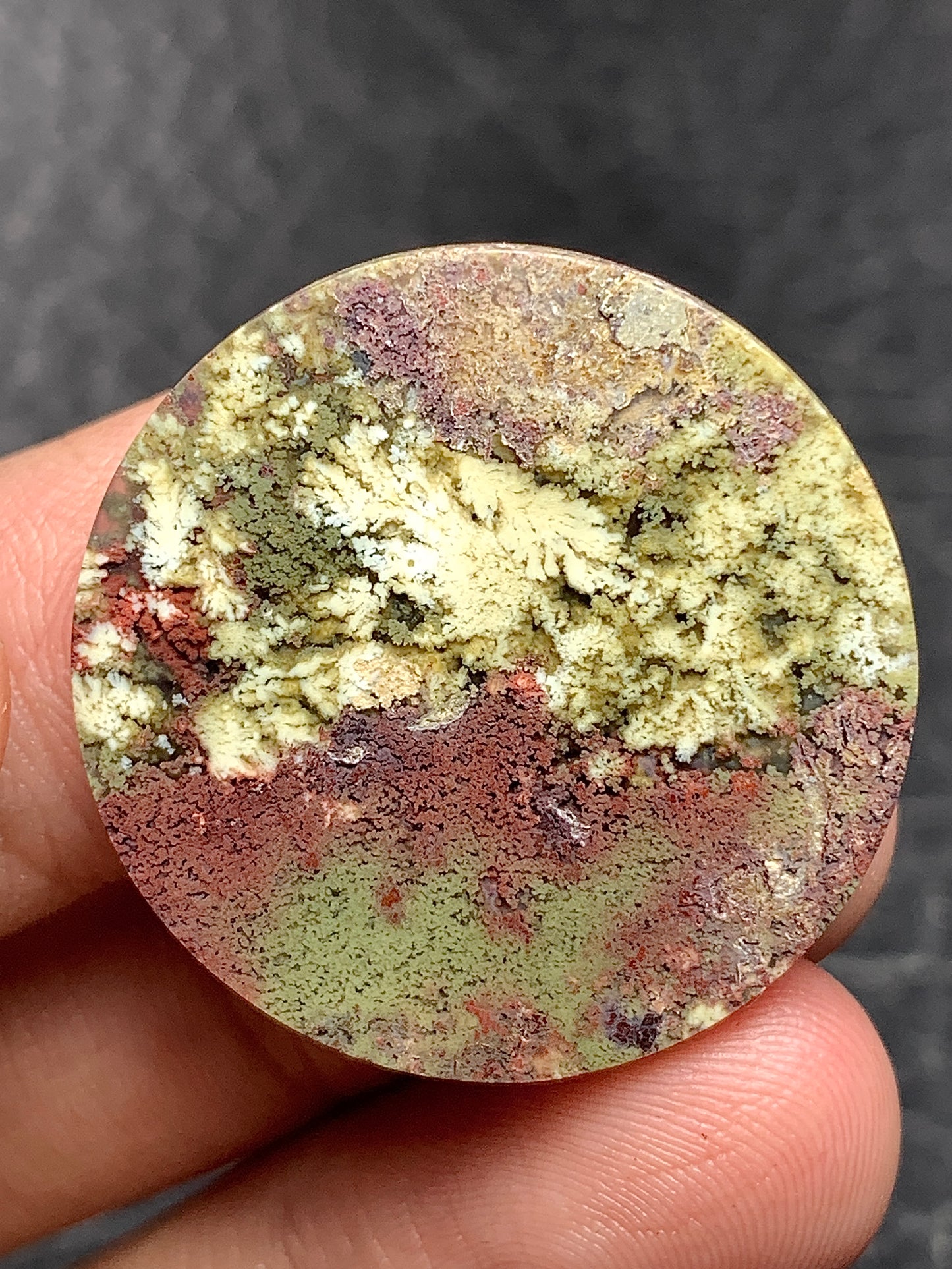 Moss Agate Round Cabochon 28x28x5mm