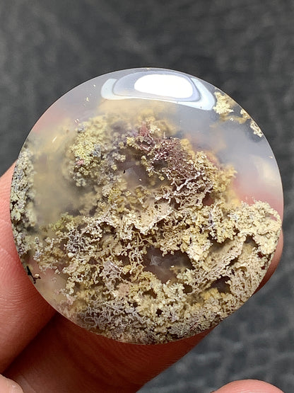 Scenic Moss Agate Round Cabochon 28x28x6.5mm