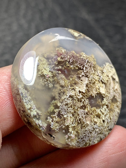 Scenic Moss Agate Round Cabochon 28x28x6.5mm