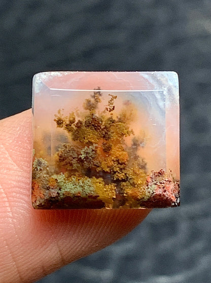 Scenic Moss Agate Square Cabochon 12x11x4mm