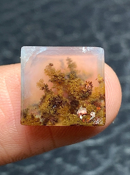 Scenic Moss Agate Square Cabochon 12x11x4mm