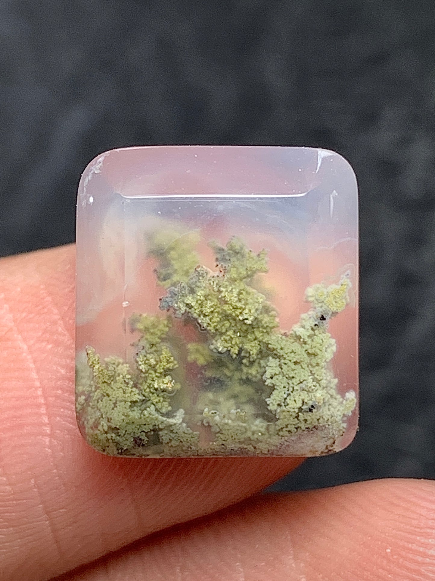 Scenic Moss Agate Square Cabochon 13x12x4.5mm