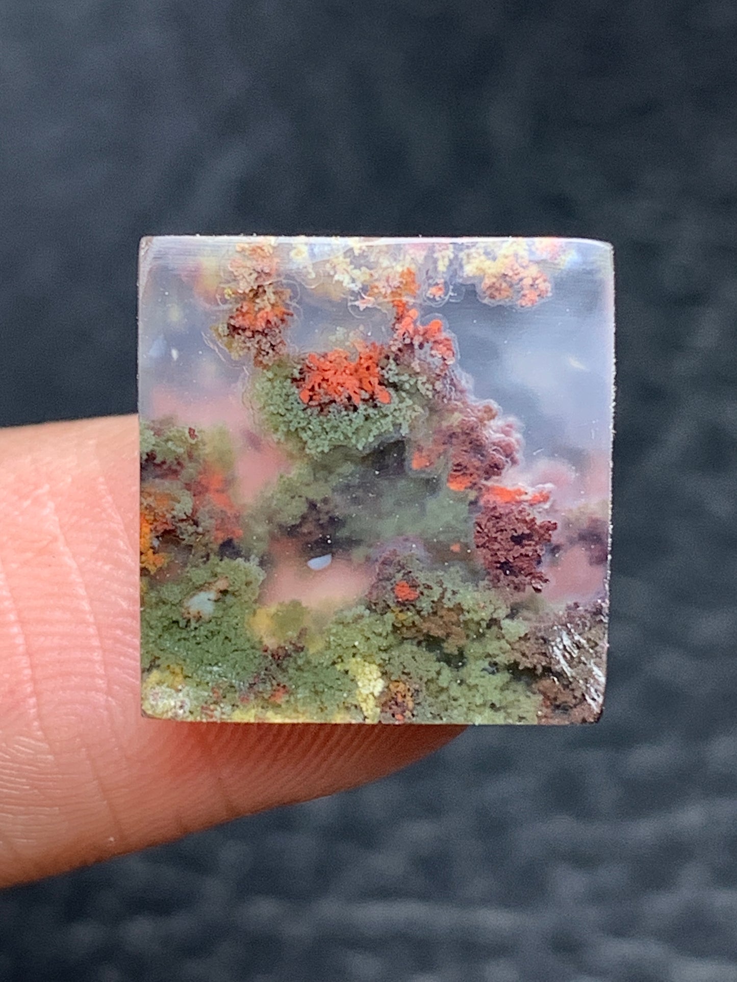 Scenic Moss Agate Square Cabochon 14x14x4mm