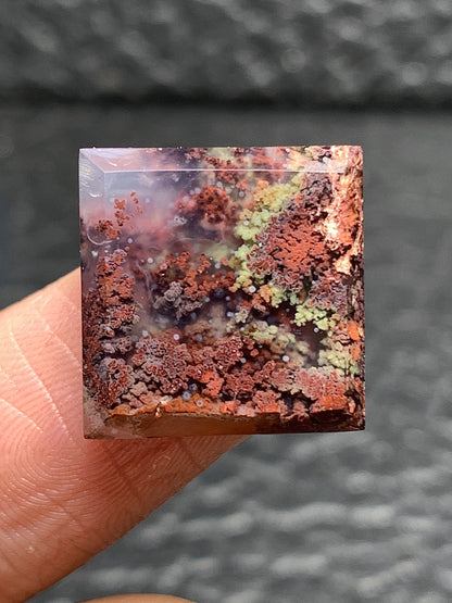 Scenic Moss Agate Square Cabochon 15x15x5mm