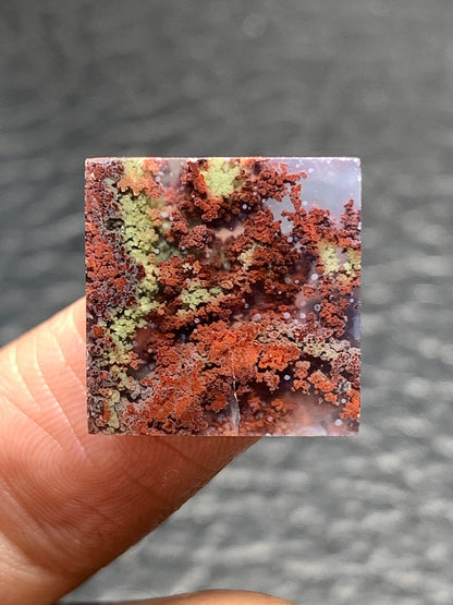 Scenic Moss Agate Square Cabochon 15x15x5mm