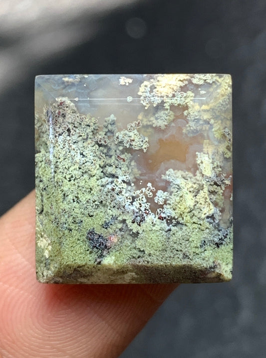 Tiny Scenic Moss Agate Square Cabochon 16x15x4.8mm