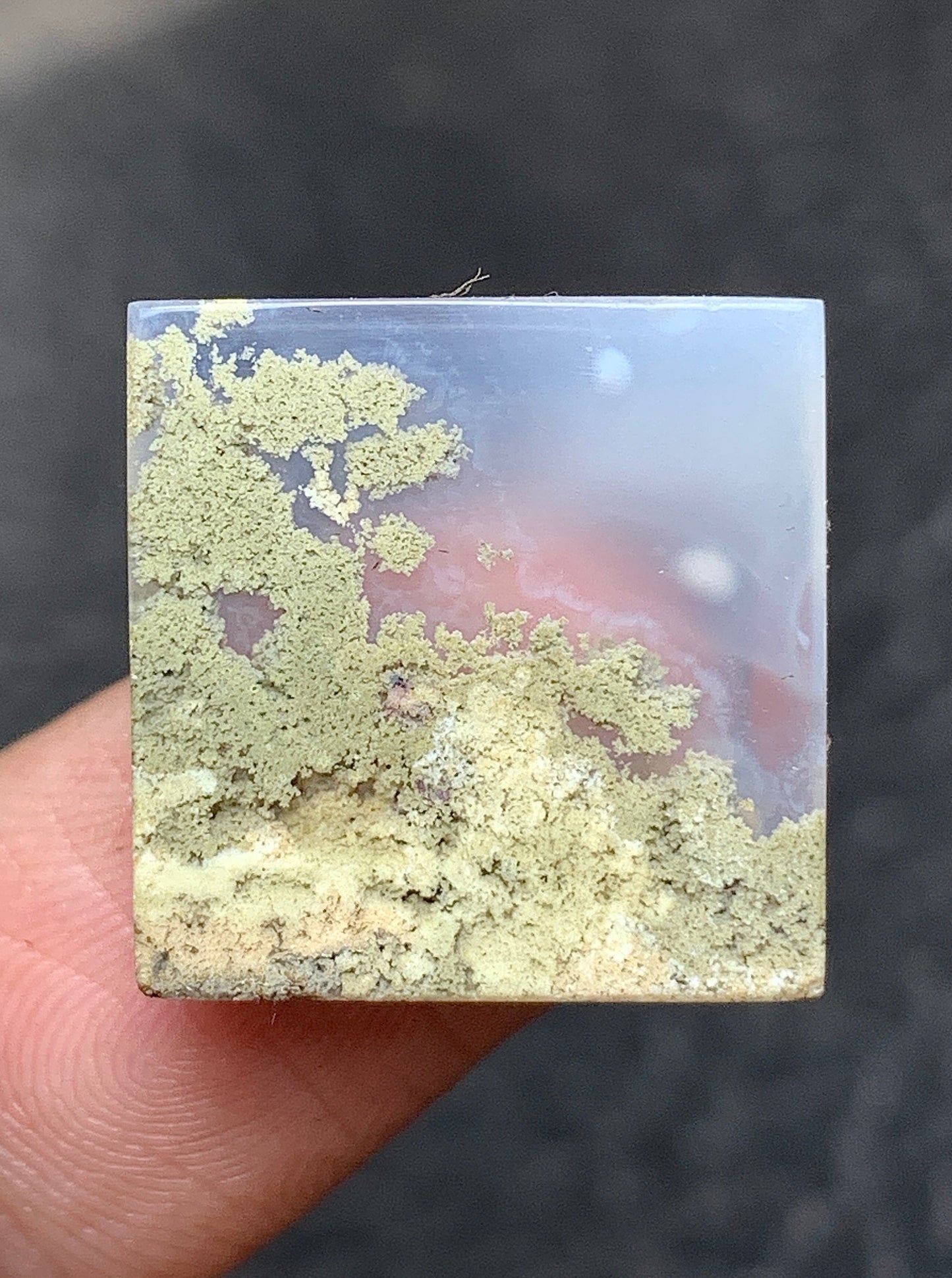 Scenic Moss Agate Square Cabochon 17x17x4.5mm