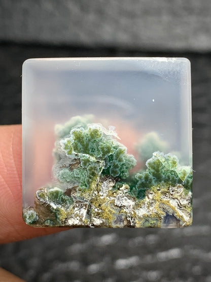 Scenic Moss Agate Square Cabochon 19.2x19.2x4.8mm