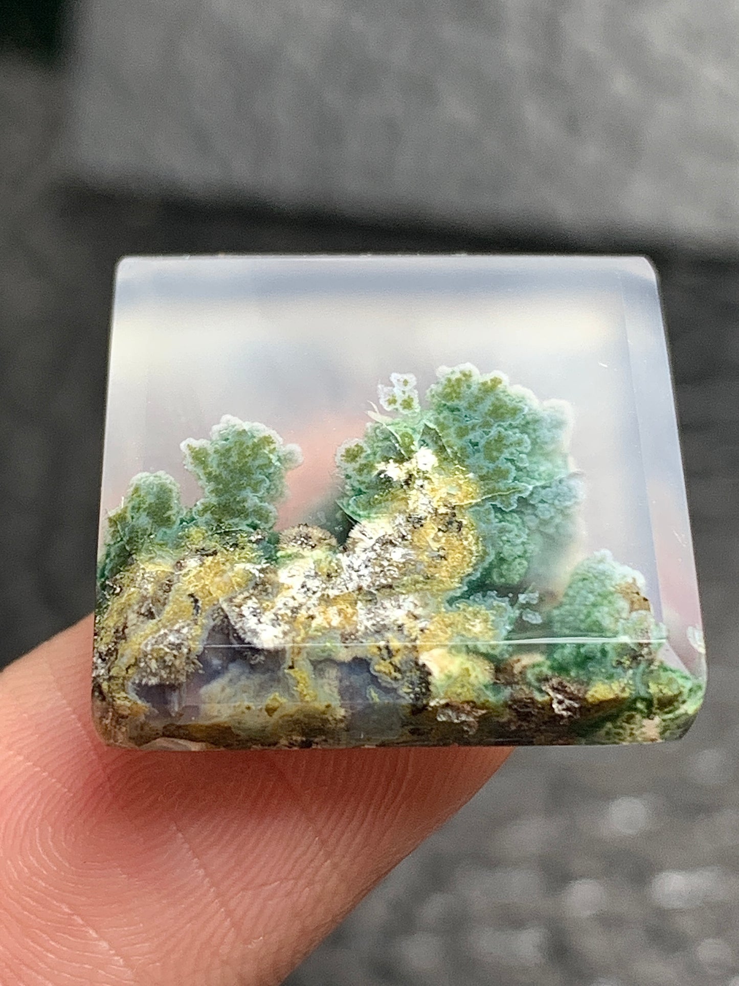 Scenic Moss Agate Square Cabochon 19.2x19.2x4.8mm