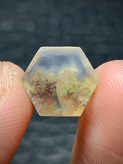 Tiny Scenic Moss Agate Hexagon Cabochon 11x10x3mm