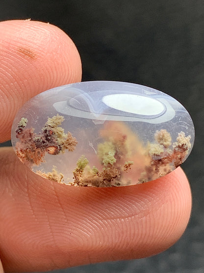 Tiny Scenic Moss Agate Oval Cabochon 19x11x6mm