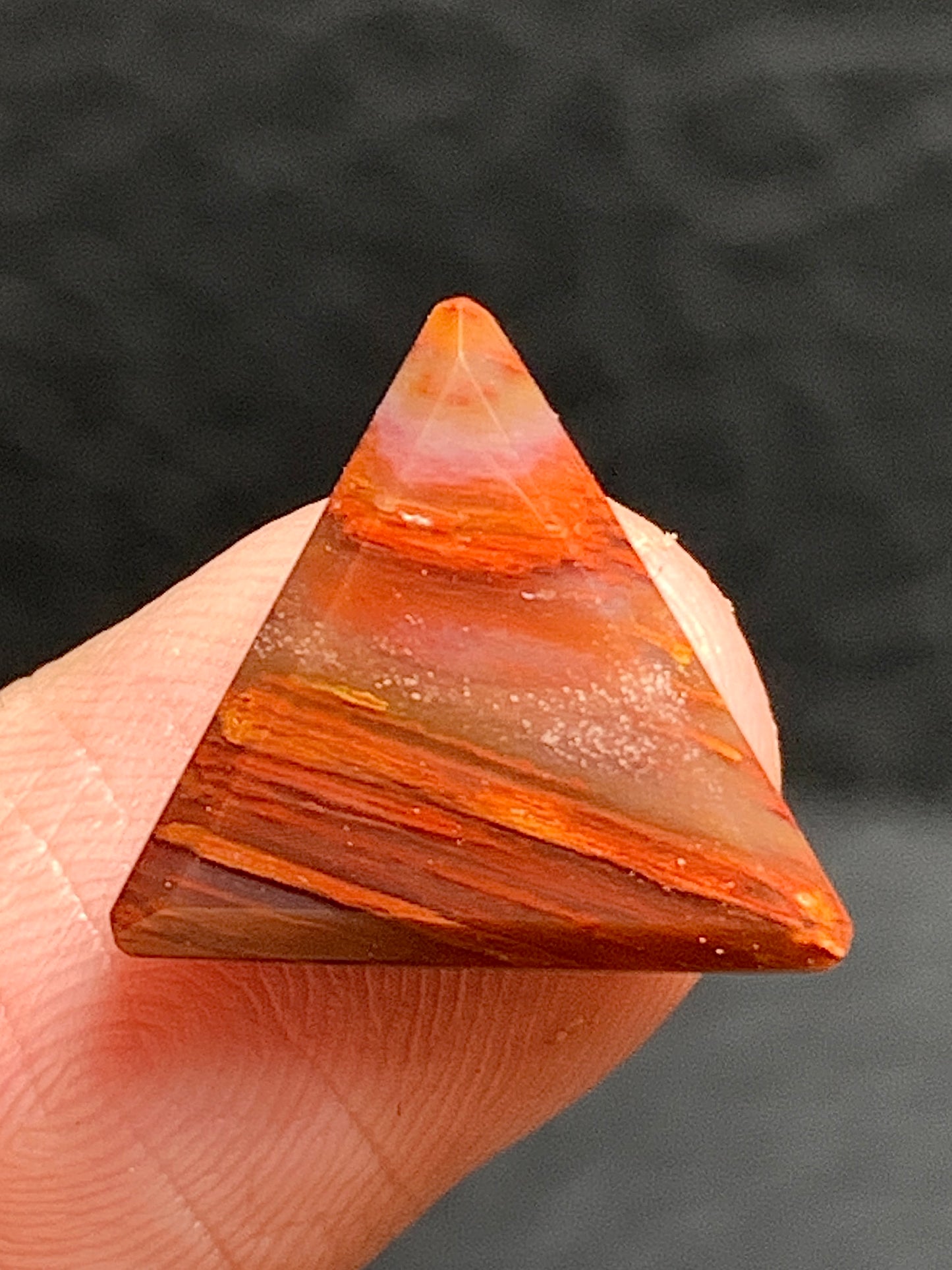 Petrified Palmwood Triangle Cabochon 14.5x13x3mm