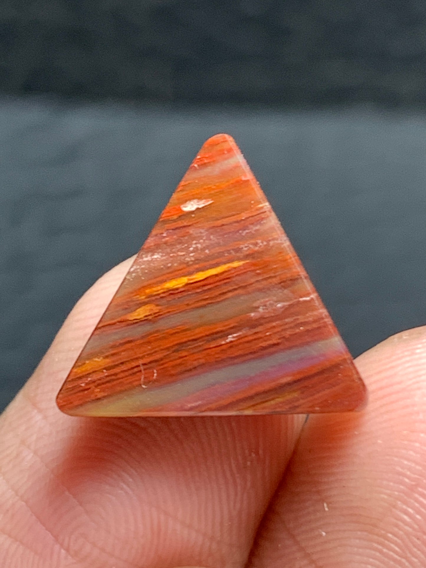 Petrified Palmwood Triangle Cabochon 14.5x13x3mm