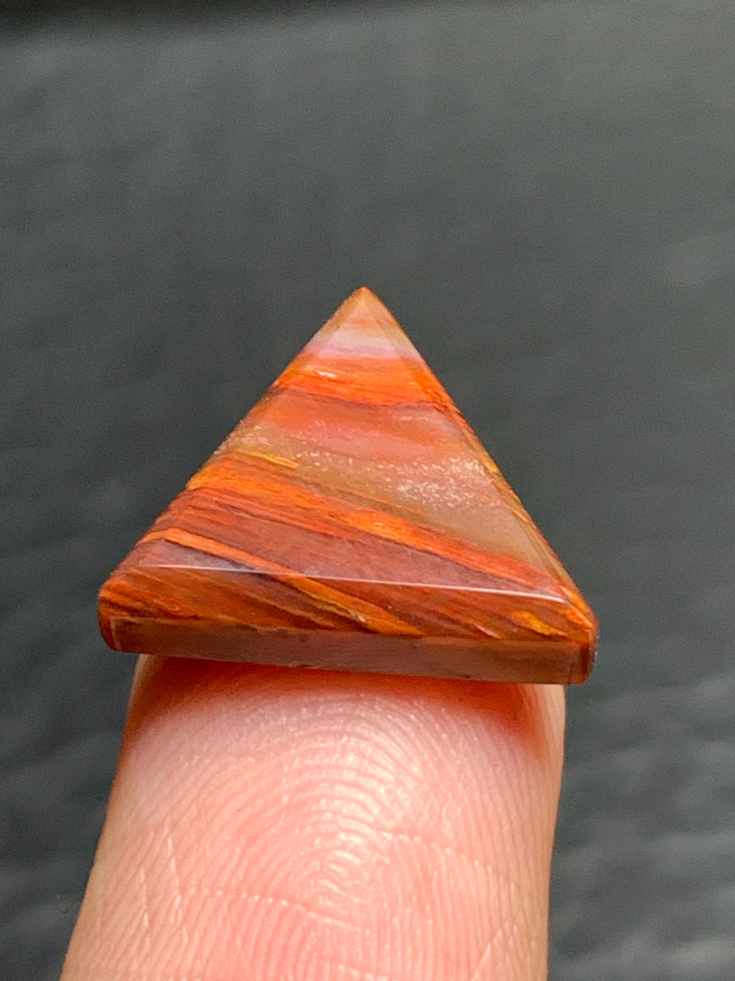 Petrified Palmwood Triangle Cabochon 14.5x13x3mm