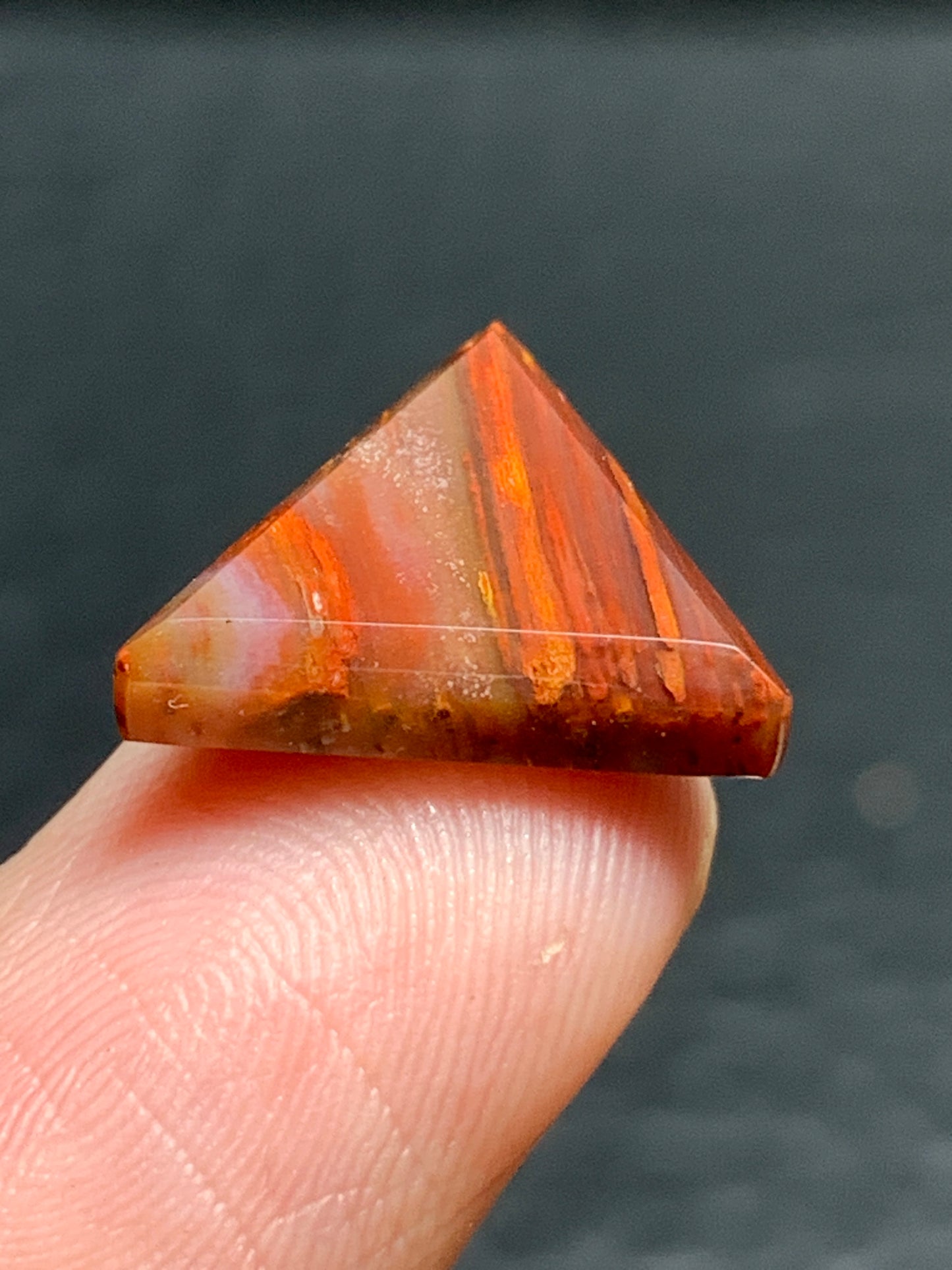 Petrified Palmwood Triangle Cabochon 14.5x13x3mm