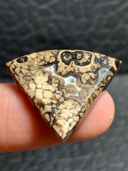 Unique Batik Jasper Teardrop Cabochon 25.5x22.2x5mm