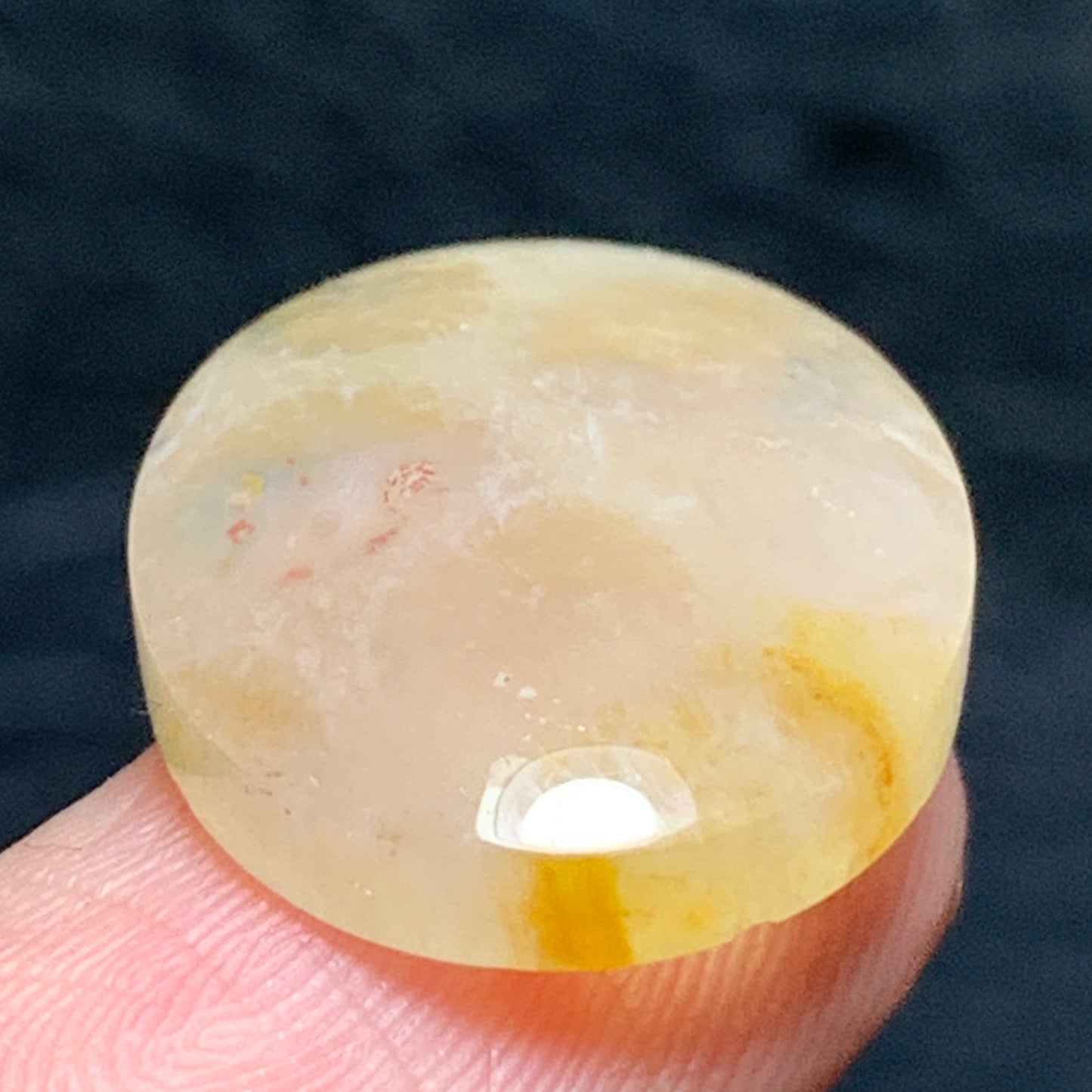 Tiny Coral Fossil Oval Cabochon 19x15x4.5mm