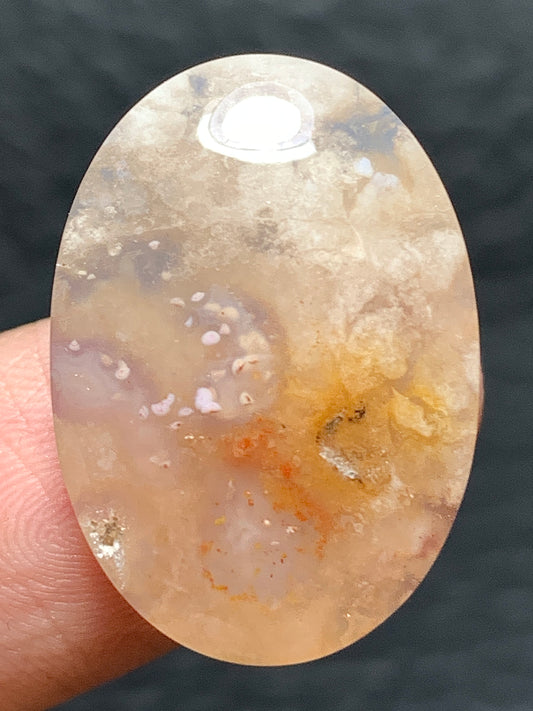 Unique Coral Fossil Oval Cabochon 23x16x5mm