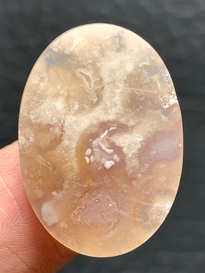 Unique Coral Fossil Oval Cabochon 23x16x5mm