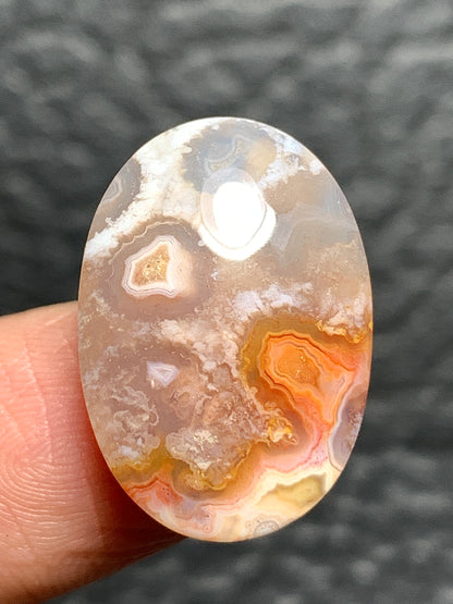 Unique Coral Fossil Oval Cabochon 21x14.8x6.2mm with Pockets Fortification