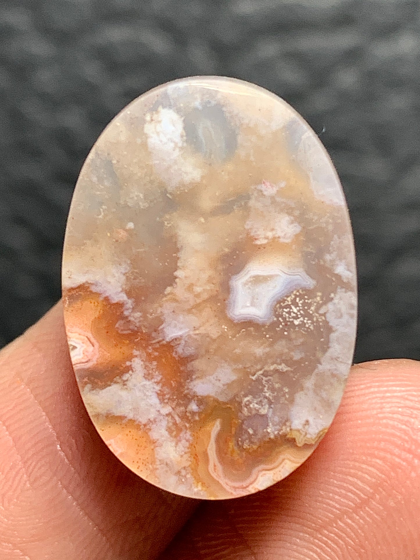 Unique Coral Fossil Oval Cabochon 21x14.8x6.2mm with Pockets Fortification