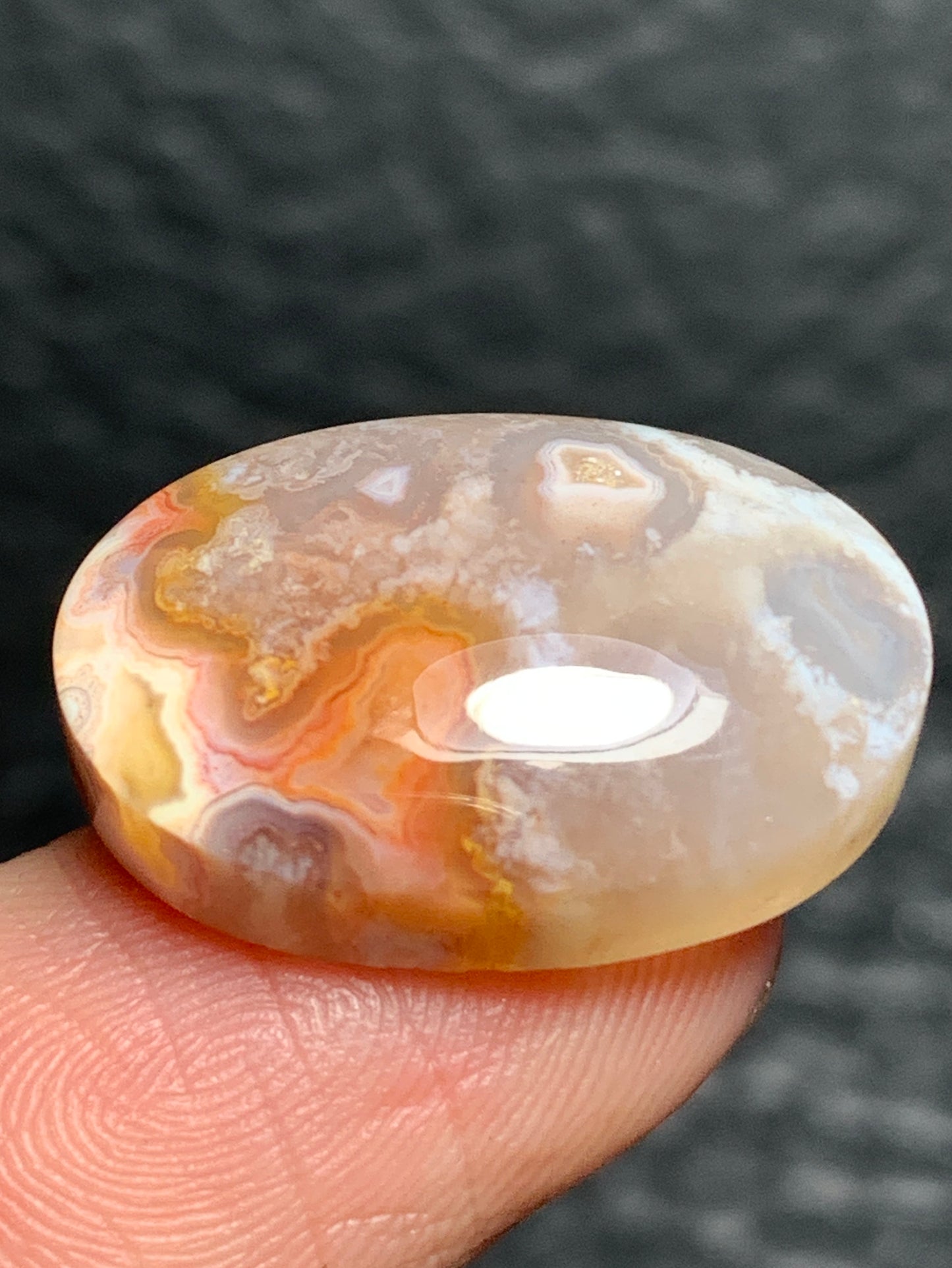 Unique Coral Fossil Oval Cabochon 21x14.8x6.2mm with Pockets Fortification