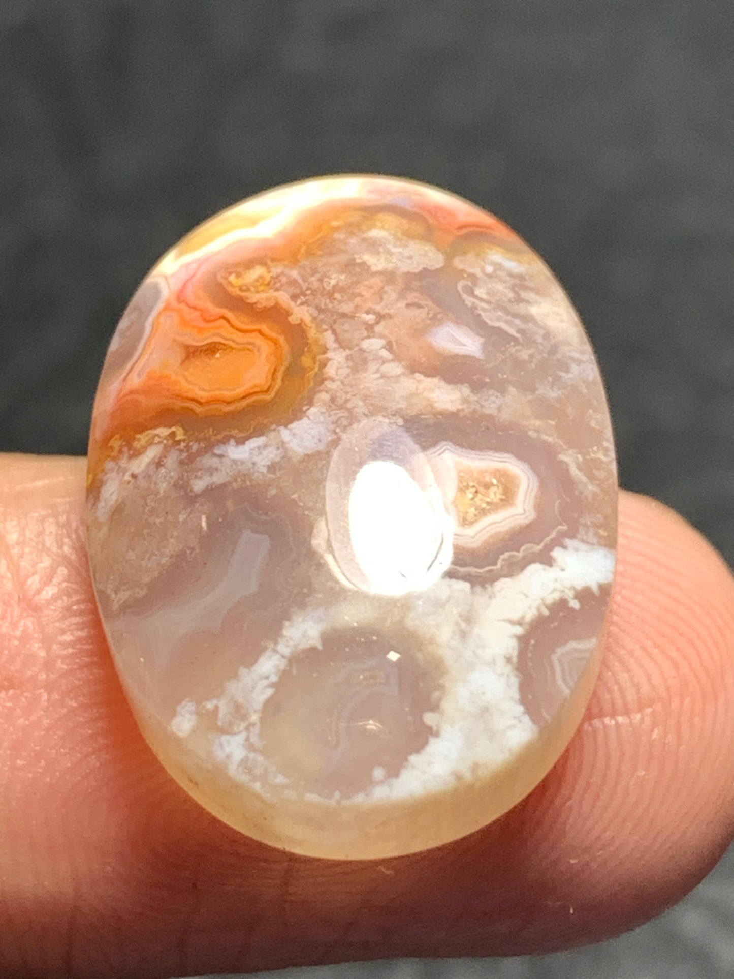 Unique Coral Fossil Oval Cabochon 21x14.8x6.2mm with Pockets Fortification