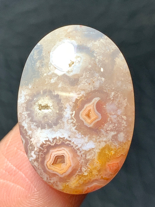 Unique Coral Fossil Oval Cabochon 22x15x6mm with Pockets Fortification