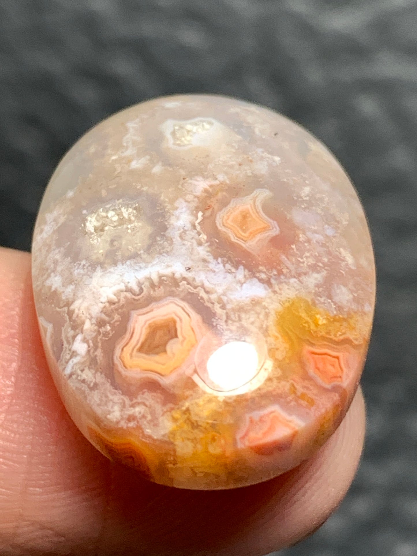 Unique Coral Fossil Oval Cabochon 22x15x6mm with Pockets Fortification