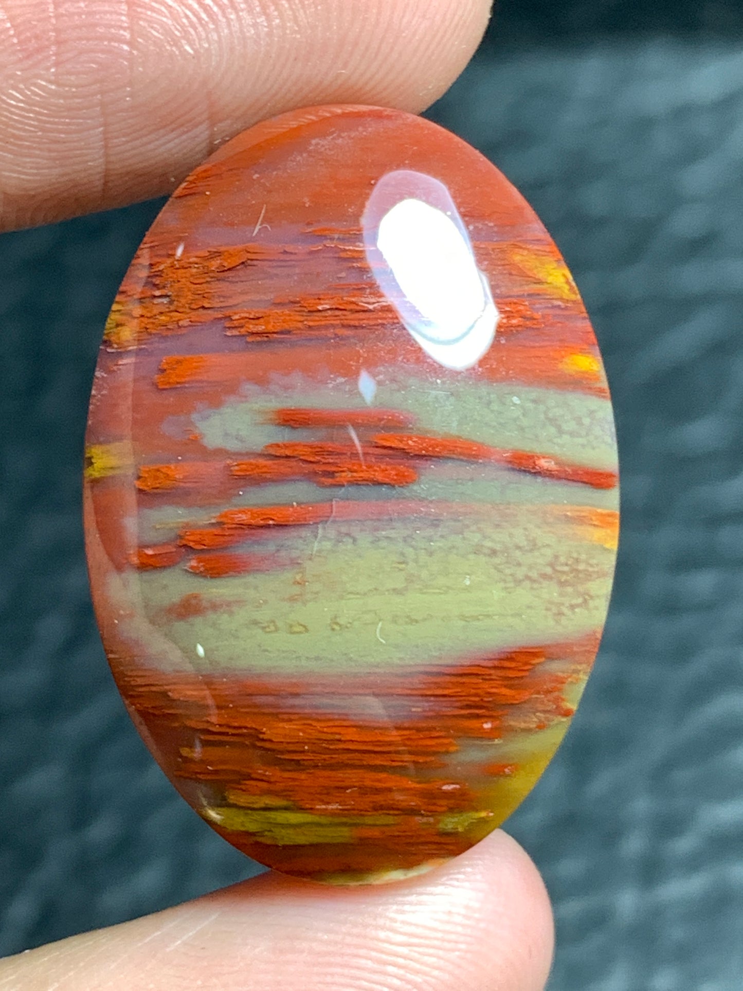 Unique Multicolor Petrified Palmwood Oval Cabochon 28x19x6.2mm