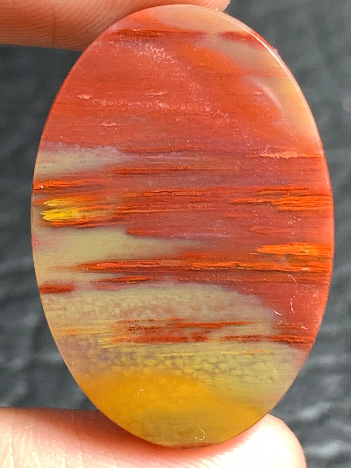 Unique Multicolor Petrified Palmwood Oval Cabochon 28x19x6.2mm