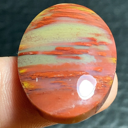 Unique Multicolor Petrified Palmwood Oval Cabochon 28x19x6.2mm