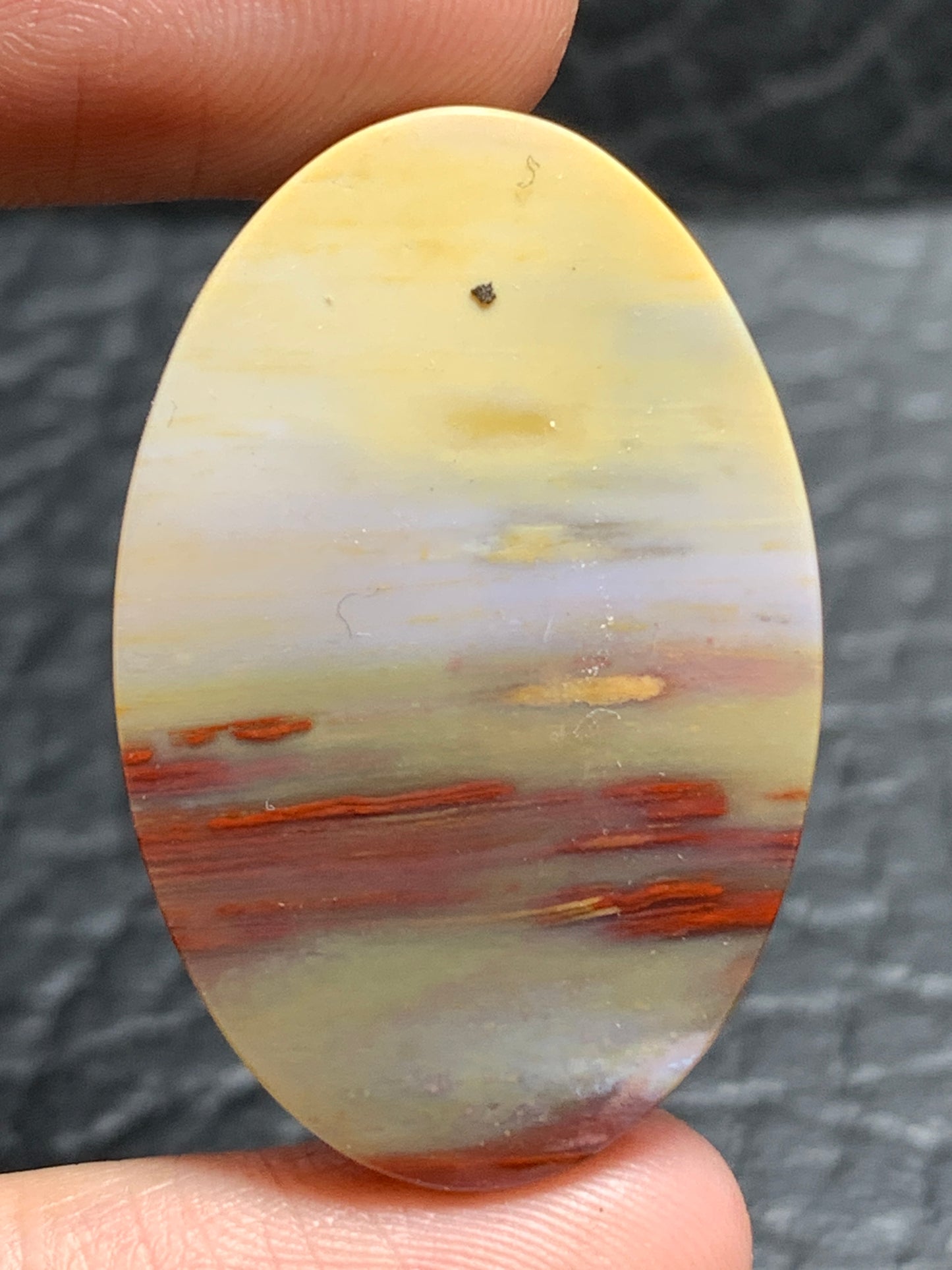 Unique Multicolor Petrified Palmwood Oval Cabochon 32.5x21.5x5.8mm