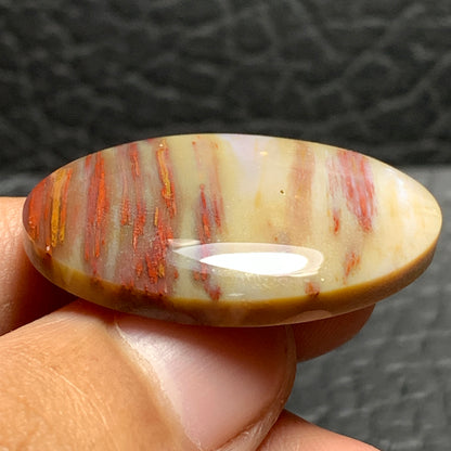 Unique Multicolor Petrified Palmwood Oval Cabochon 32.5x21.5x5.8mm