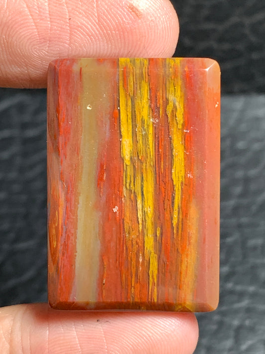 Unique Multicolor Petrified Palmwood Rectangle Cabochon 31.7x21.4x4.7mm