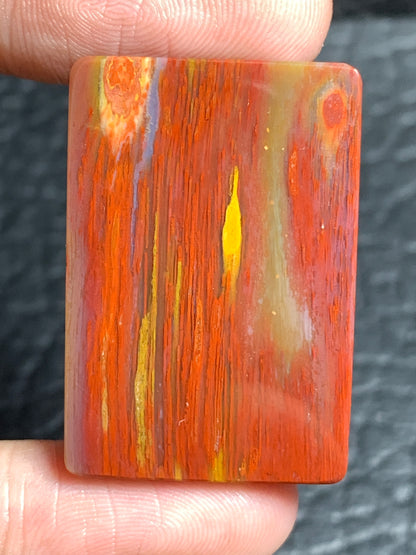 Unique Multicolor Petrified Palmwood Rectangle Cabochon 31.7x21.4x4.7mm