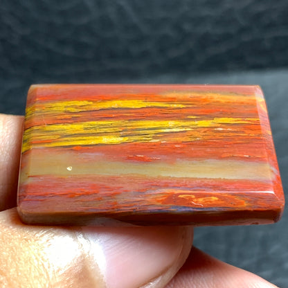 Unique Multicolor Petrified Palmwood Rectangle Cabochon 31.7x21.4x4.7mm