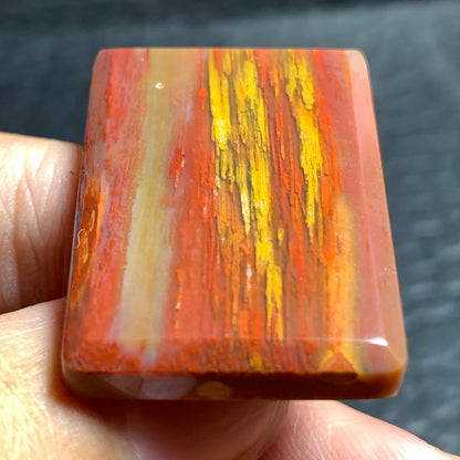 Unique Multicolor Petrified Palmwood Rectangle Cabochon 31.7x21.4x4.7mm