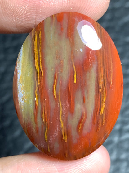 Unique Petrified Palmwood Oval Cabochon 29.8x22x6.3mm