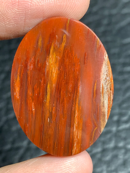 Unique Petrified Palmwood Oval Cabochon 29.8x22x6.3mm